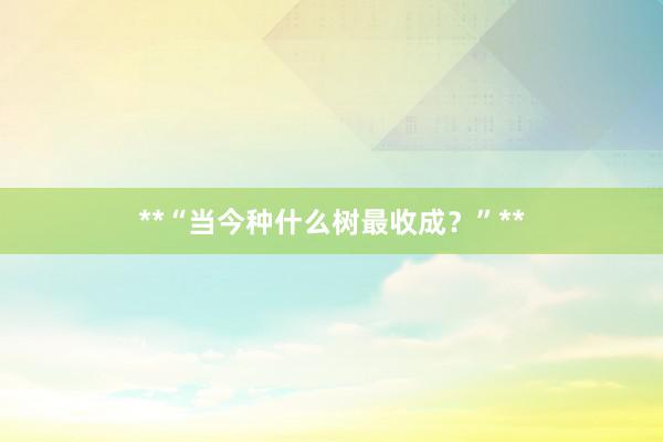 **“当今种什么树最收成？”**